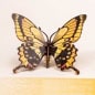 Formes 3D Grusskarte Schmetterling