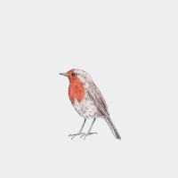 Inkylines Wallsticker - Robin